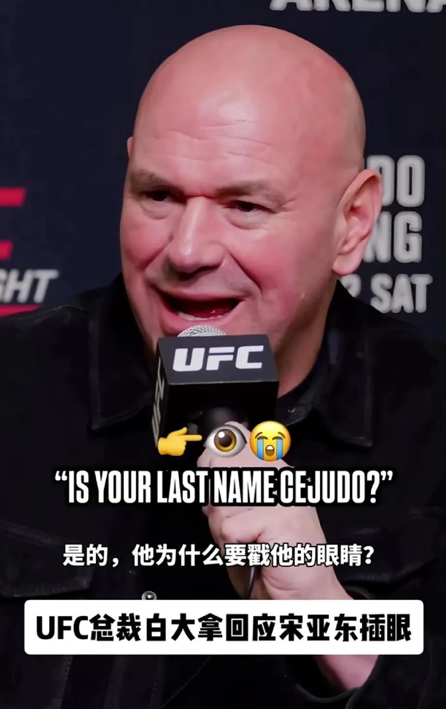 乐竟平台 -包含UFC公开赛上演强强对话,荆楚霹雳队强势横扫关东天虎队,多点开花奏效;黑马成最大惊喜的词条